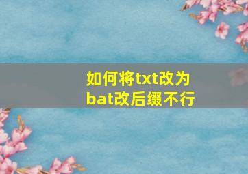 如何将txt改为bat改后缀不行