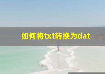 如何将txt转换为dat