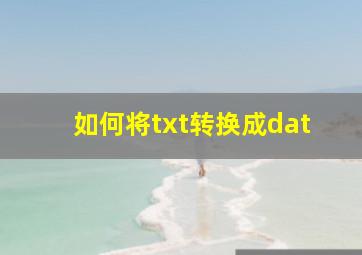 如何将txt转换成dat