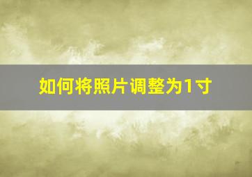 如何将照片调整为1寸