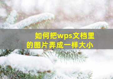 如何把wps文档里的图片弄成一样大小