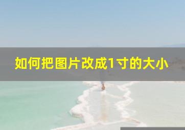 如何把图片改成1寸的大小