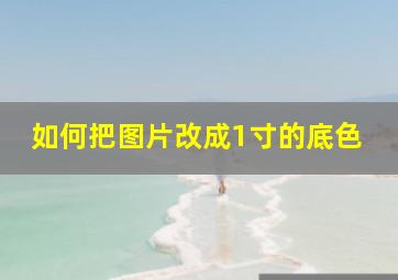 如何把图片改成1寸的底色