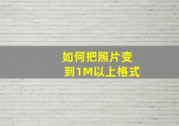 如何把照片变到1M以上格式