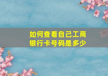 如何查看自己工商银行卡号码是多少