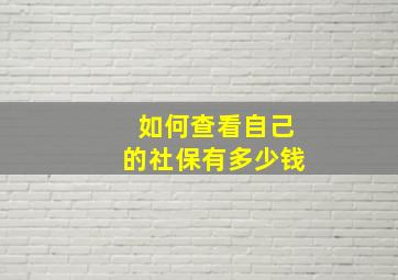 如何查看自己的社保有多少钱