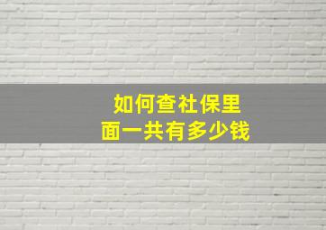 如何查社保里面一共有多少钱