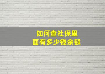 如何查社保里面有多少钱余额