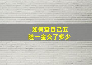 如何查自己五险一金交了多少