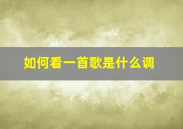 如何看一首歌是什么调