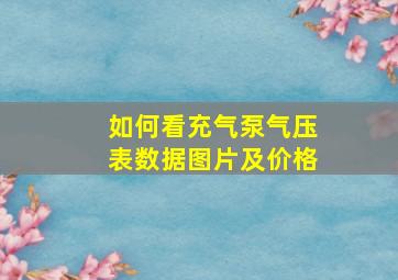 如何看充气泵气压表数据图片及价格