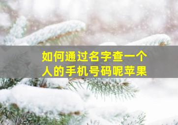 如何通过名字查一个人的手机号码呢苹果