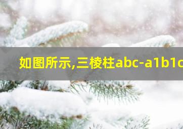 如图所示,三棱柱abc-a1b1c1