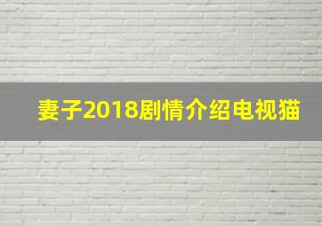 妻子2018剧情介绍电视猫