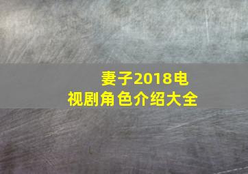 妻子2018电视剧角色介绍大全