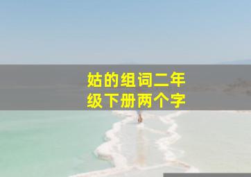 姑的组词二年级下册两个字