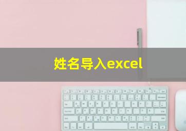 姓名导入excel