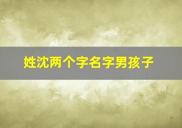 姓沈两个字名字男孩子