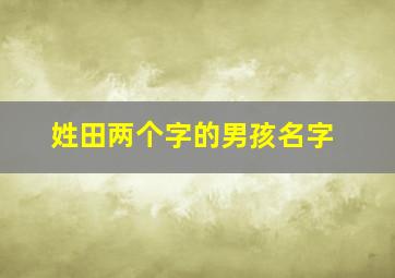 姓田两个字的男孩名字