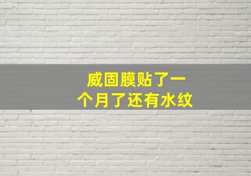 威固膜贴了一个月了还有水纹