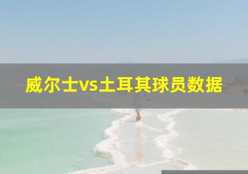 威尔士vs土耳其球员数据