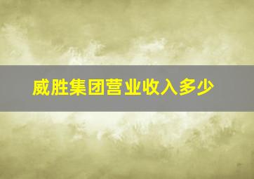 威胜集团营业收入多少