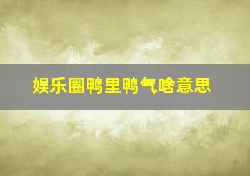 娱乐圈鸭里鸭气啥意思