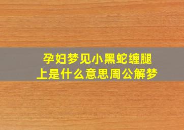 孕妇梦见小黑蛇缠腿上是什么意思周公解梦