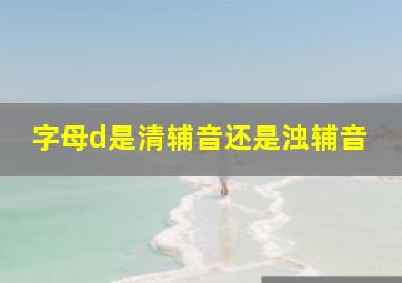 字母d是清辅音还是浊辅音