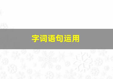 字词语句运用