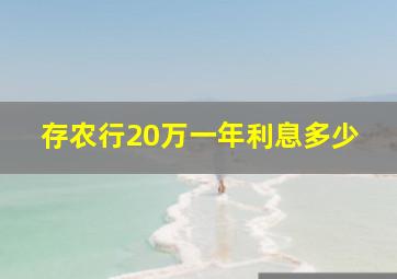 存农行20万一年利息多少