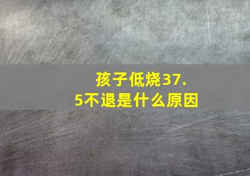 孩子低烧37.5不退是什么原因