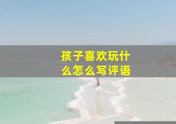 孩子喜欢玩什么怎么写评语