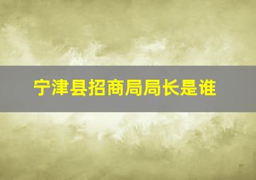 宁津县招商局局长是谁