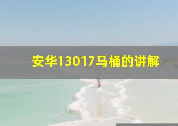 安华13017马桶的讲解