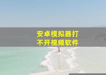 安卓模拟器打不开视频软件