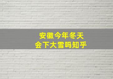 安徽今年冬天会下大雪吗知乎