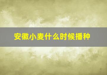 安徽小麦什么时候播种