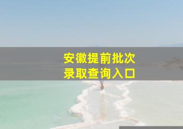 安徽提前批次录取查询入口