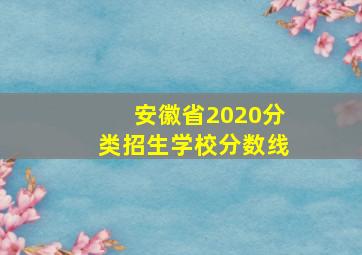 安徽省2020分类招生学校分数线