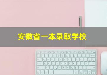 安徽省一本录取学校