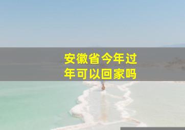 安徽省今年过年可以回家吗