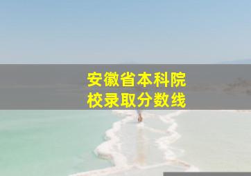 安徽省本科院校录取分数线