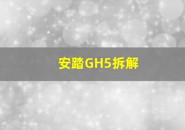 安踏GH5拆解