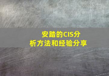 安踏的CIS分析方法和经验分享