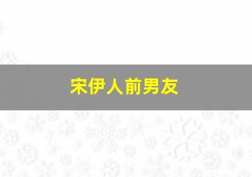 宋伊人前男友