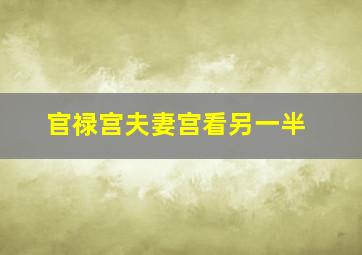 官禄宫夫妻宫看另一半