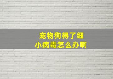 宠物狗得了细小病毒怎么办啊