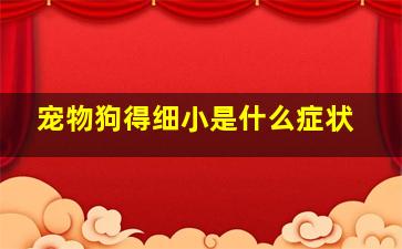 宠物狗得细小是什么症状