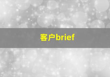 客户brief